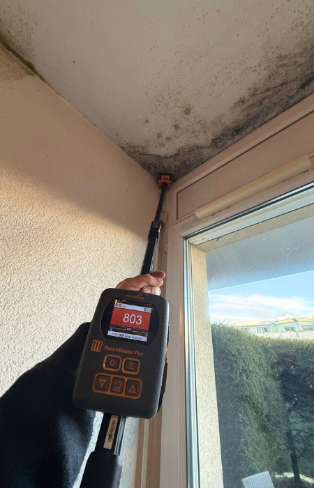 Assechement mur moisissure